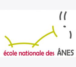 L'Ecole nationale des ânes maraichers devient l'Ecole nationale de l'âne
