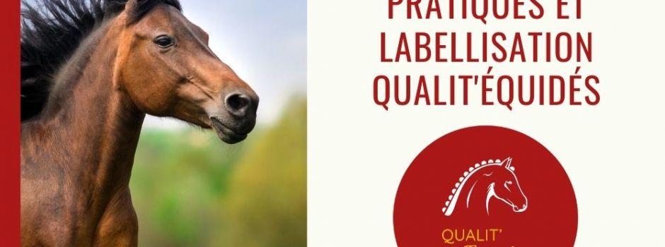 Accompagnement à l'amélioration des pratiques et préparation à la labellisation Qualit'Equidés